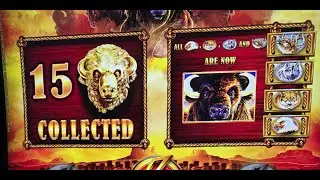 15 BUFFALO HEADS!!!