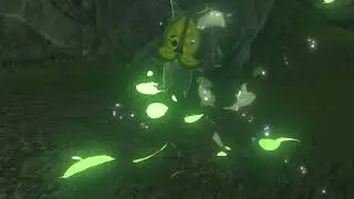 The Legend of Zelda - Breath of the Wild - Switch - Video 98/X