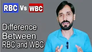 Difference Between Rbc and Wbc | Function of Rbc and Wbc | Structure of Rbc and Wbc