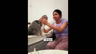 This cat learns sign language for its deaf owner! 🥺🐱 