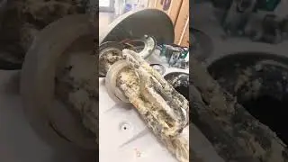 Resistencia blindada termo eléctrico Cointra TNC Plus llena de cal