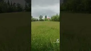 Гуляем с Баксом😇