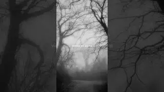 Arctic monkeys - I wanna be yours lyrics #shorts #status #aesthetic