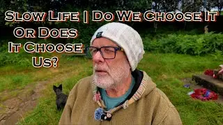 Slow Life | Do We Choose It, Or Does It Choose Us?
