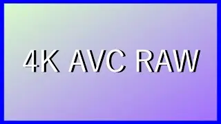 AMD AVC 4K 60 FPS 100 Mb BIT-RATE TEST (RAW)