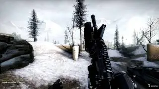 Красота Insurgency