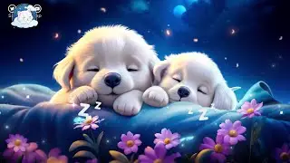 Frosty Feelings - Sound Asleep