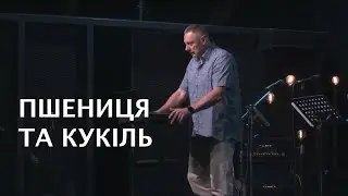 Пшениця та кукіль. Віктор Ларіонов. 8 вересня 2024 р.