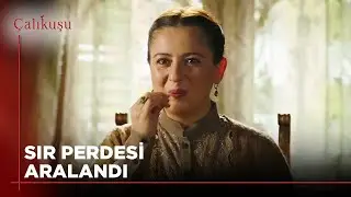 Besime'nin Keyfi Yerinde | Çalıkuşu 11. Bölüm