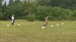 04.08.2024 RO LV Talsi . trassa 2 . judge Peteris Akimovs 80%