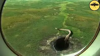 The cavern in Africa protected by a gigantic snake.