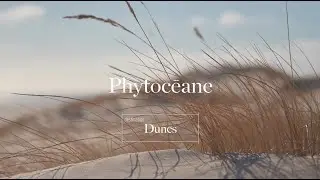 Destination DUNES