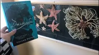 Джекаби, обзор крутецкой книги