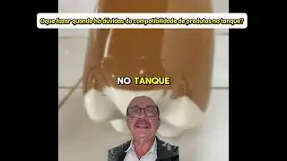 25 de julho de 2024