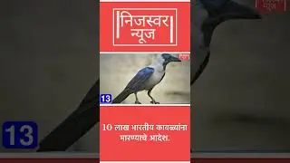 10 लाख भारतीय कावळ्यांना मारण्याचे आदेश.,त्यांचं कोल्हापुरी पायतानाने स्वागत करू. 