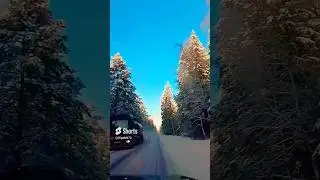 "Свет в окне...."