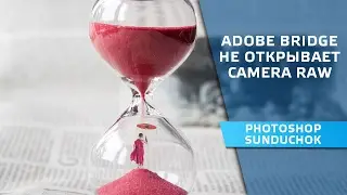 Adobe Bridge does not open the Camera Raw | Addressing the module Camera Raw