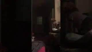 Creepy noone at the door everyone is asleep dog barking at nothing!!!