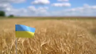 З Днем Незалежності, Українці!