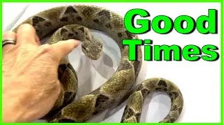 The Reptiles and Amphibians Herping Symposium 2023 (Costa Rica)