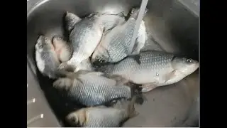Это прикольно.  Карась клюёт зимой.   It's cool. Crucian carp bite in winter.