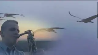 ЖУРАВЛИ ОСЕННИЕ