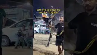 28 de mayo de 2024