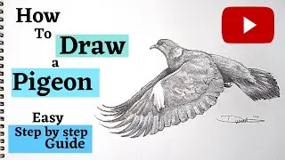 How to draw a Pigeon Easy Step by Step