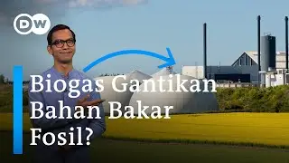 Potensi Biogas: Pantai Gading dari Singkong, Indonesia dari Limbah Tahu | DW Inovator