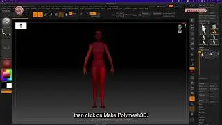 ZB_14.03  |  How to clear a 2.5D canvas with shortcut and change it into 3D canvas  4K