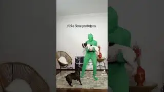 Truque de edição com roupa de chroma key. A última é a melhor de todas coitado do Zeus 😂