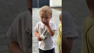 Frații Cebotari