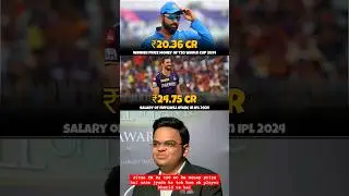 t20 world cup 2024 money prize 