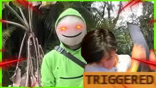 Everyone's reaction to Dream's Face Reveal