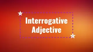 Interrogative Adjective | English Grammar | Examples | Quality | Distributive