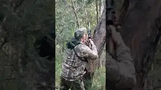 Hunting  And  Eating Deer It In The Wild #survival #shorts #hunting