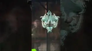 Какие амфибии - лучшие питомцы? 🐸 