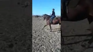 video 1586148137