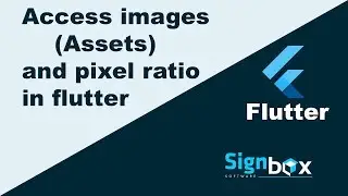 Flutter Tutorial for Beginners 6 | Assets | How to access images in in flutter