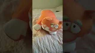 11 февраля 2022 г.