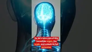 Unleashing the Power Within: Journey into the Fascinating World of the Human Brain