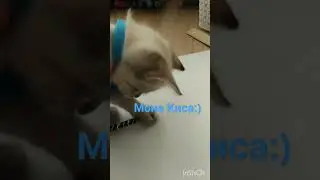 Мона киса:)