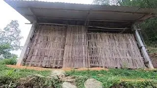 Mesum di hutan