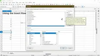 Create an INSERT ROW Keyboard Shortcut | LibreOffice Calc