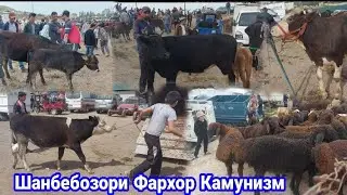 Шанбебозори Фархори Камунизм нархи Бара Бука,  18 мая 2024 г.