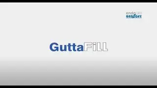 GuttaFill - беспроводной инжектор