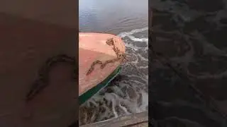 Навигация 2022год и Григорий.⚓⚓⚓🚢🚢🚢🚢⚓⚓⚓⚓⚓
