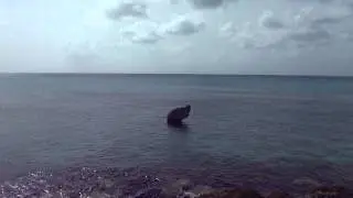 Barbados   Sprintstown