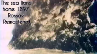 The sea lions' home 1897 (Rossov Remastered)