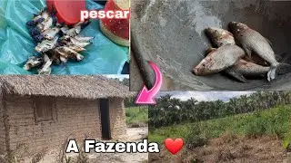 MOSTREI A FAZENDA DO MEU CUNHADO | 🏠FOMOS PESCAR E MUITO MAIS ❤️